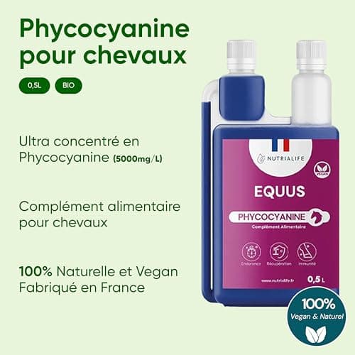 NUTRIALIFE Spiruline Bleue Phycocyanine Liquide pour Chevaux Pure 5000 MG/L - Boost Énergie, Résistance et Performance - Complément Alilmentaire Cheval 100% Naturel - Culture Française 500ml