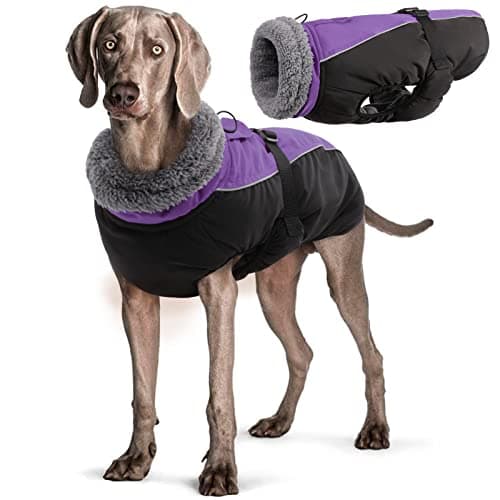 Manteau d'hiver pour Chien, Veste ImperméAble pour Chien, Veste d'hiver Chaude avec Doublure en Polaire, Manteau RéFlecteur Ajustable Et Confortable avec Trou pour Harnais pour Petits Et Moyens Chien