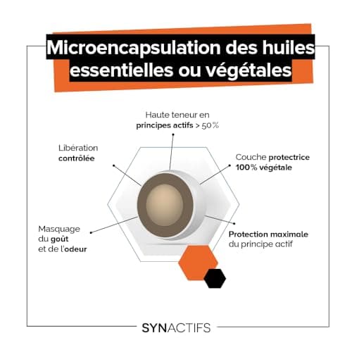 ARAGAN - Synactifs - Dynactifs - Complément Alimentaire Anti-Fatigue - Ginseng, Acérola, Caféine, Vitamine C et Menthe Poivrée - 30 gélules - 15 jours à 1 mois de prise - Fabriqué en France