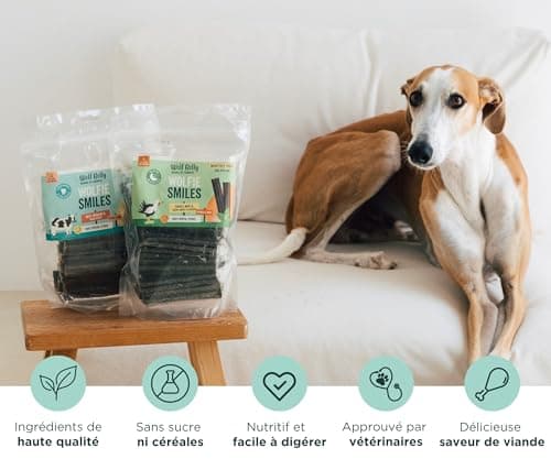 Wolf Belly - Friandises pour Chien Naturel (28 unités) 89% Bœuf et Origan sans Céréales | Hygiène Bucco-Dentaire & Haleine Fraîche | Stick Chien Riche en Protéines | Goût Irrésistible