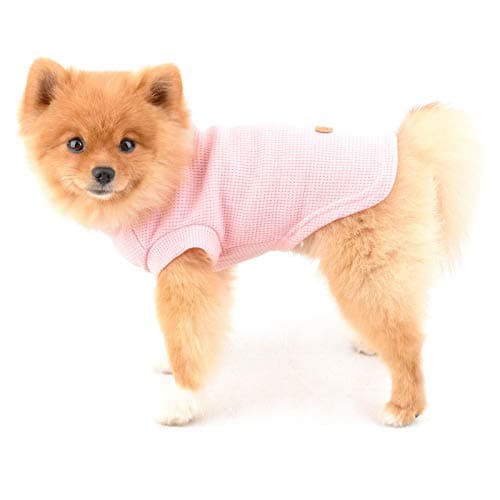 PAIDEFUL Chemises pour Petits Chiens de Taille Chats Gilet en Coton Doux de Couleur Unie Tee-Shirt Respirant Débardeurs Chiot Chihuahua Vêtements t-Shirts Été pour Animaux de Compagnie Rose M