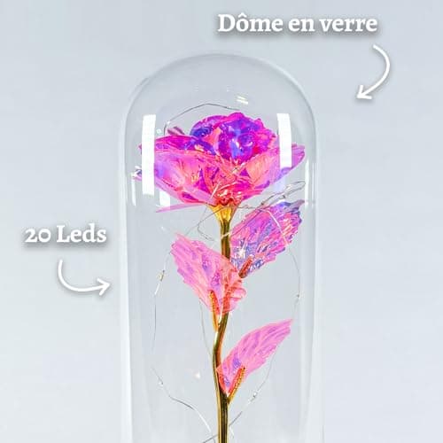 Rose Eternelle Lumineuse | Cadeau Romantique pour Femme | Fleur Artificielle Belle et la Bête | avec LED et Cloche en Verre | Coffret Inclus | Cadeaux St Valentin, Fête des Mères | OriginalCorner®