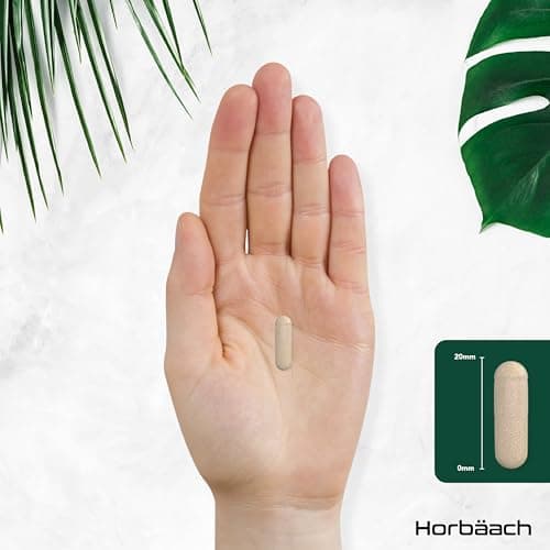 Psyllium Blond Gelules 1400 mg | 365 Psyllium Gelules Vegan | 6 Mois | Fibre de Psyllium Husk Haute Dosage | Prébiotique naturel | par Horbaach