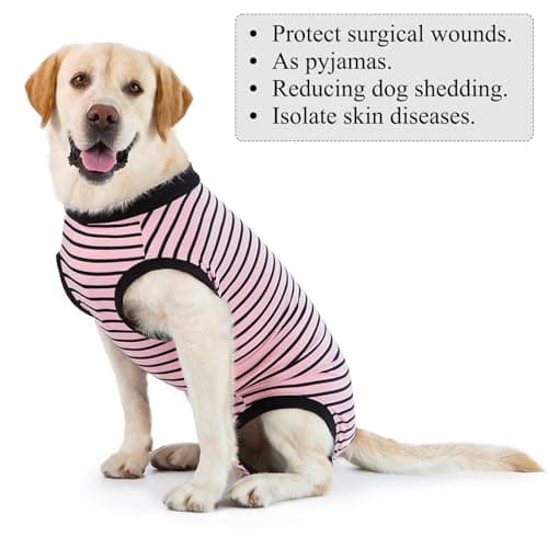 Cyponpy Body Chien Post Operatoire Femelle Male Combinaison de Recuperation Chien Pyjama Post Operatoire Chien Castration Body pour Chien Anti Lechage Après Stérilisation Alternative Collerette Chien