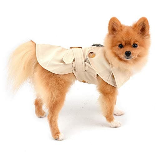 PAIDEFUL Trench pour petits chiens fille garçon coupe-vent mode western veste avec ceinture vêtements d'extérieur automne hiver chien vêtements pour chiot chihuahua yorkie, kaki, taille S