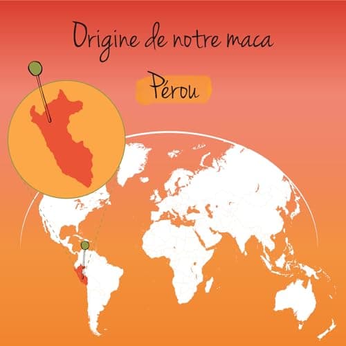MACA BIO du Pérou 3000mg Vegavero® | 120 Gélules | UNIQUE : 4 Racines de Maca - Noire, Rouge, Jaune, Violette | Sans Additifs | Énergie + Libido + Adaptogene | VEGAN