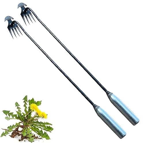JINGAN Désherbeur en acier inoxydable | Débroussailleuse manuelle en acier inoxydable avec 4 dents | Accessoires d'entretien du jardin antirouille, râteau et houe pour jardin