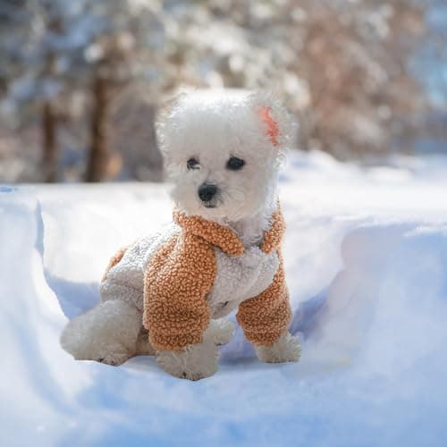 Galatée Manteau d'hiver pour Petit Chien pour Chiot, Vêtements Mignons pour Animaux De Compagnie, Manteau Chaud d'hiver, Veste Chaude pour Chiot pour l'hiver Froid, Sweat-Shirts à Capuche(S, Marron)