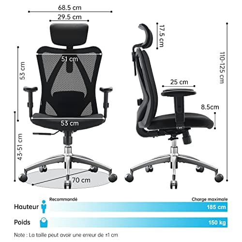 SIHOO Chaise de Bureau, Siege de Bureau Ergonomique avec Support Lombaire et accoudoir réglable, Fauteuil de Bureau d'une capacité maximale de 150 kg