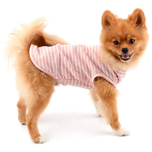 PAIDEFUL Vêtements pour Petits Chiens Garçon Fille été rayé Chiot t-Shirt Gilet Respirant Coton t-Shirt sans Manches Chihuahua Yorkshire Rose M