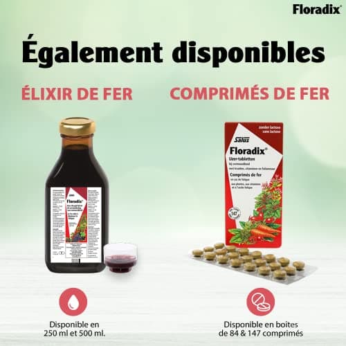 Salus Floradix Fer + Plantes - Formule Liquide Anti-Fatigue Riche en Fer - Enrichi en Vitamine C pour une Bonne Absorption - 84 comprimés