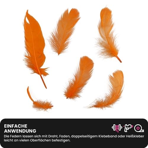 Netuno 150 plumes décoratives oranges foncées 10g plumes duveteuses plumes d'oiseaux plumes naturelles pour loisirs créatifs DIY bricolage décorations de fêtes attrape-rêves fabrication de masques