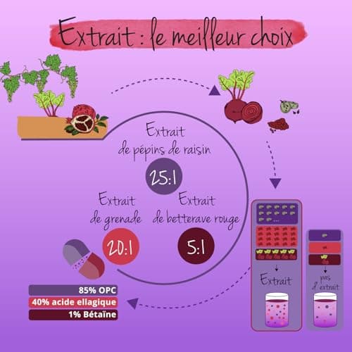 OPC Extraits de Pépins de Raisin | Antioxydant Puissant & Santé Cardiovasculaire | Avec Betterave Rouge & Grenade | Sans Additif & Vegan | 120 Gélules | Vegavero®