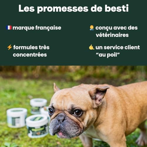 BESTI - Digestion | 75 Compléments Alimentaires Premium pour Chiens | Probiotiques, Prébiotiques, Postbiotiques | Flore Intestinale | Marque Française - Formule Vétérinaire | Au Poulet | 300 GR