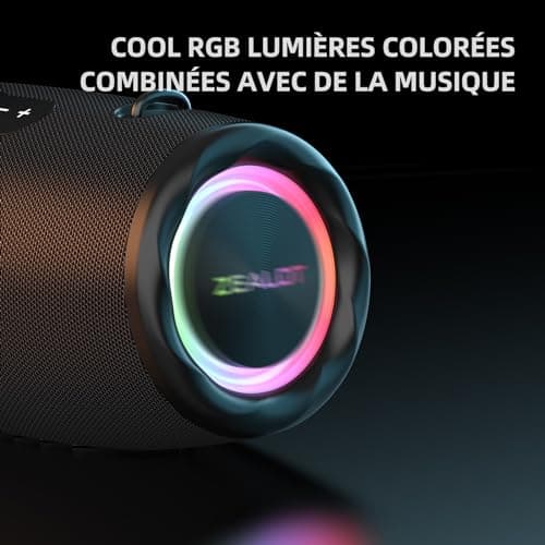 ZEALOT Enceinte Bluetooth, 80W Haut - Parleur Bluetooth avec Boost Bass, étanche ipx6, lumière LED, Banque d'alimentation, Bluetooth 5.2, extérieur, Camping Haut - Parleur Bluetooth