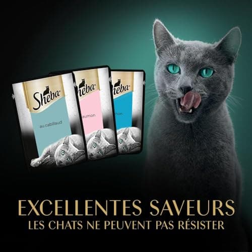 SHEBA Délices du Jour Sachets fraîcheur en sauce aux poissons pour chat 15x50g