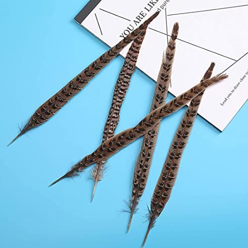 Zeayebsr 1 ensemble de 20 plumes de faisan pour l'artisanat et les décorations de chapeaux montrent les loisirs créatifs (25-30cm)