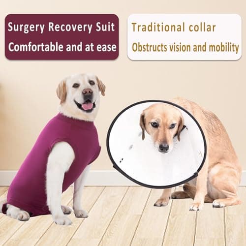 Axcimond Combinaison de Recuperation Chien Body Chien Post Operatoire Protection Chien Body Chirurgical Chien Body pour Chien Femelle Male après Stérilisation Alternative au Collerette Chien Operation