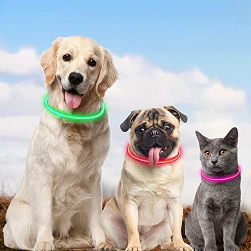 AUAUY Collier Lumineux Chien, Collier LED pour Animaux Rechargeable USB, Découpable Collier Imperméable Collier Chien Réglable pour Petits, Moyens et Grands Chat et Chien(Vert)