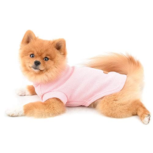 PAIDEFUL Chemises pour Petits Chiens de Taille Chats Gilet en Coton Doux de Couleur Unie Tee-Shirt Respirant Débardeurs Chiot Chihuahua Vêtements t-Shirts Été pour Animaux de Compagnie Rose M