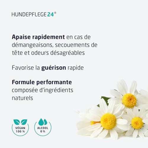 Hundepflege24 Nettoyant Oreille Chien Intense - Super Puissant en Cas d'inflammations & infections - Gouttes d'oreilles Naturelles pour Chiens avec du piroctone olamine, de la Camomille & l'aloe Vera