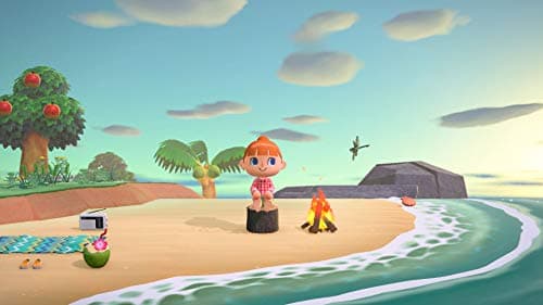 Animal Crossing : New Horizons pour Nintendo Switch