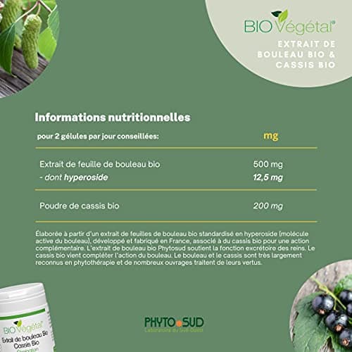 Bouleau et Cassis BIO Végétal - Complément Alimentaire Vegan - Elimination & Drainage - Cure Détox - 60 Gélules - Fabrication Française