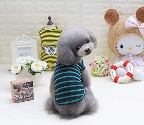 YAODHAOD Lot de 2 Chemises en Coton à Rayures pour Chien Vêtements pour Animaux de Compagnie T-Shirts pour Chiot Débardeur pour Chat Respirant Extensible pour Petit très Petit Chien ou Chat (XXL)