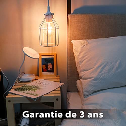 LVWIT Ampoule à filament LED E27 G80 6.5W, 650Lm Equivalent à Ampoule Incandescente 51W, Lampe Rétro Edison en Verre Brun, 2500K Blanc Chaud, Non-Dimmable, Lot de 6