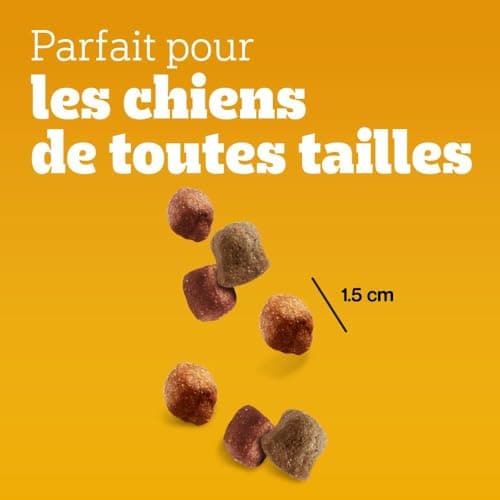 Pedigree Sa Récompense – Bouchées Moelleuses pour Chien – Friandises au poulet – 6 sachets de 130g