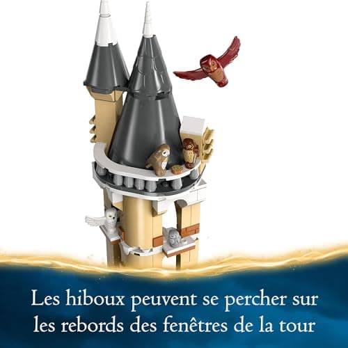 LEGO Harry Potter La Volière du Château de Poudlard, Jouet Fantastique pour Enfants, Set de Jeu d’Animaux, 3 Personnages, Idée Cadeau du Monde des Sorciers pour Filles, Garçons et Fans Dès 8 Ans 76430