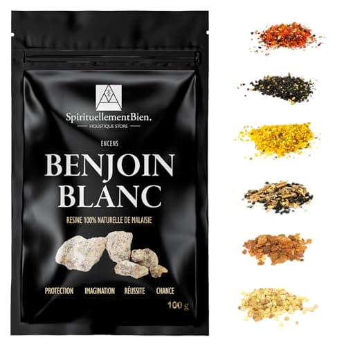 Encens Naturel - Bonheur - Purification - Protection - Protection pour Fumigation Brule Parfum ou encensoir (Benjoin Dragon Fly, 100 GR)