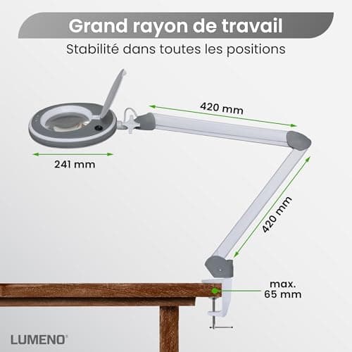 Lumeno 8213GR LED Lampe loupe pour poste de travail, lampe cosmétique, intensité lumineuse réglable, lentille en verre transparent de 127 mm, aide à la lecture/loupe, 3 dioptries