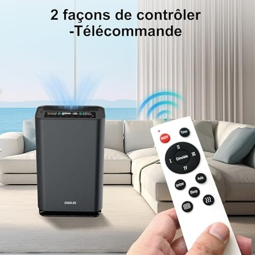 ISSELEC 2 en 1 purificateur d'air et humidificateur H13 filtre à air haute efficacité ioniseur taille de pièce jusqu'à 40m2, Filtre 99,97% des poils d'animaux domestiques/pollen/fumée/odeur