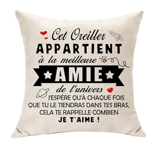 Hasodeo Amie Cadeau Original Housse de Coussin Décoration - Le Meilleure Amie de l'univers Meilleur Amie Cadeau pour Femme Fille Anniversaire Journée de l'Amitié 45 x 45 (Amie)