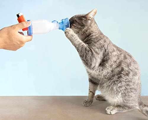 AnimHal Cat – Chambre d’Inhalation pour Chat avec Masque – Fabriquée en France - Conçue pour Les Maladies Respiratoires Félines – S’adapte à Tous Les Chats