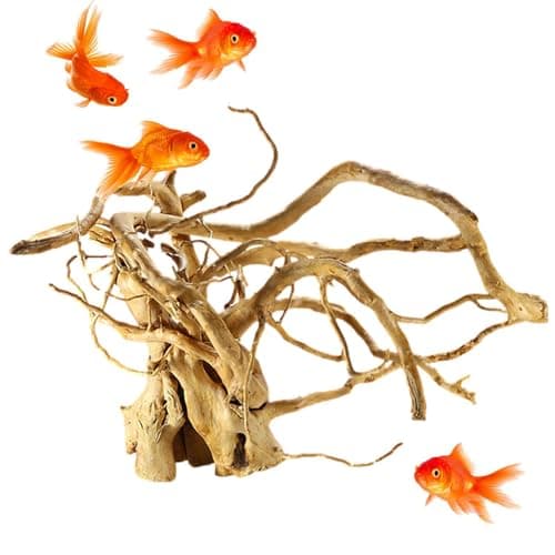 Fulenyi Plantes d'aquarium, Racine d'arbre en Bois flotté, décoration en Bois flotté, Branches en Bois Massif, décoration de Terrarium, Accessoires pour Petits Poissons