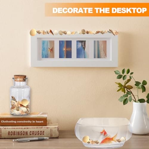 MsTeco Coquillage, 200g Coquillages Décoratifs Naturels Coquillage de Mer Mélange de Coquillages de Plage pour Bricolage Artisanat, Fabrication de Bougies, Réservoir de Poisson Remplissage(0.3-3cm)