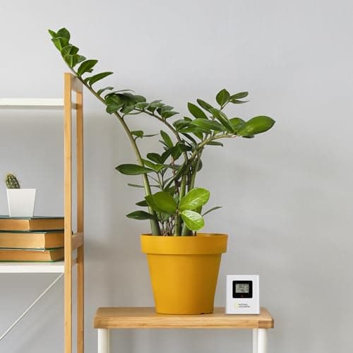National Geographic Station Météo Couleur sans Fil avec Capteur Extérieur VA avec 4 Zones De Mesures pour Intérieur Ou Extérieur, Noir