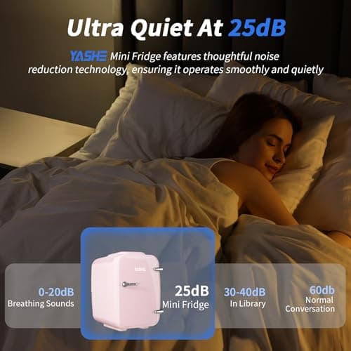 YASHE Mini Frigo de Chambre, 4 Litres Frigo Cosmetique, Petit Frigo Thermoélectrique CA/CC pour Boissons, Nourriture, Beauté, Bureau, Dortoir, Voiture, Rose