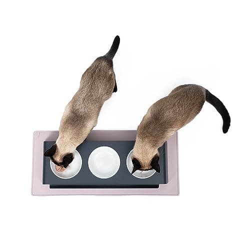 LucyBalu® Tapis de gamelle pour Chat | Tapis pour gamelle de Chat | Tapis d'alimentation en Silicone antidérapant | Set de Table rectangulaire pour Chat | Tapis de Bol pour Chat | XL Rose