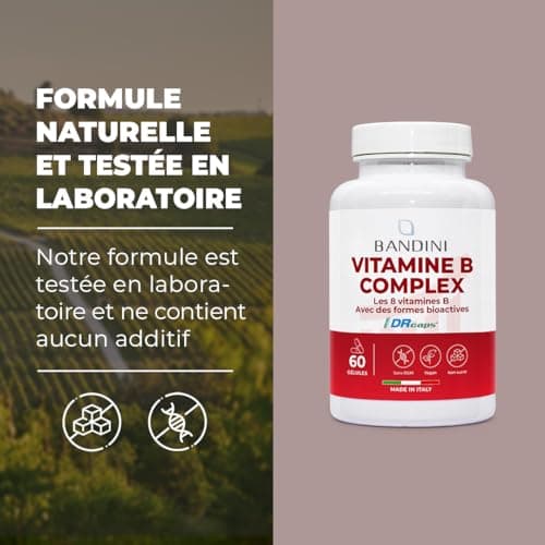 Bandini® Vitamine B Complex | Complexe de Vitamines group B au naturel avec Folate & Biotine: B1, B2, B3, B5, B6, B7, B9, B12, Bétaïne, Choline, Inositol | Haute assimilation | B-Complex 60 Capsules
