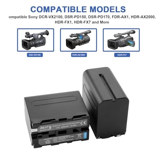2 X NP-F970, NP-F960, NP-F930, NP-F950 Batterie de Rechange et Chargeur Double Compatible avec Sony DCR-VX2100, DSR-PD150, DSR-PD170, FDR-AX1, HDR-AX2000, HDR-FX1, HDR-FX7