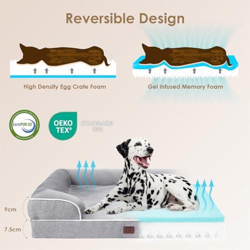 EHEYCIGA Panier Chien Grande Taille XL Orthopedique, Memoire de Forme Lit pour Chien Imperméable, Canapé pour Chien Dehoussable Lavable