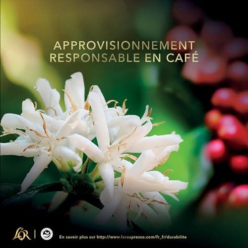 L'Or Espresso Café - 100 Capsules Delizioso Intensité 5 - compatibles Nespresso®* (lot de 10 x 10)