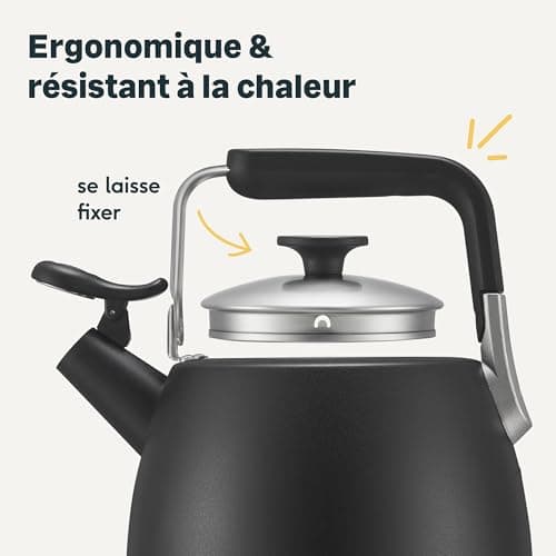 SILBERTHAL Bouilloire à induction 2,8l - Bouilloire en acier inoxydable - Bouilloire pour le camping - Bouilloire à flûte noire - Bouilloire sifflet Nouvelle version 2024