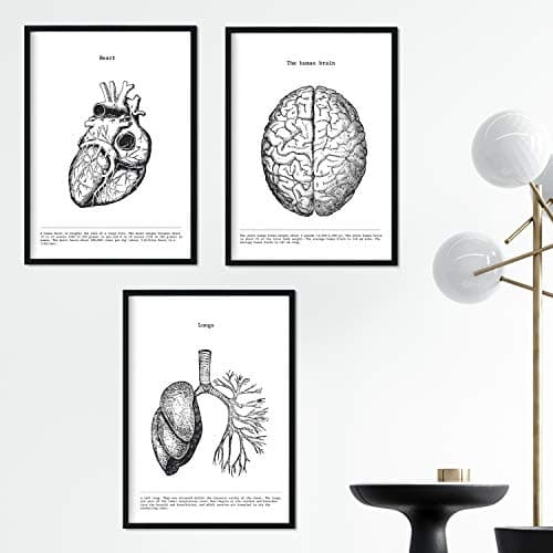 Nacnic Ensemble de 3 Affiches d'anatomie en Noir et Blanc avec des Images du Corps Humain. Pack de fiches sur la biologie avec Cœur, Cerveau et Poumons. Format A3. sans Cadre.