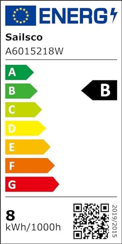 Sailsco Classe B Ampoule LED E27 Blanc Chaud,8W Equivalent Ampoule Incandescence 100W, 2700K Lumière Blanche Chaude 1521LM, Ampoule à économie d'énergie A60, Non-Dimmable, Lot de 6