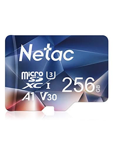 Netac 256 Go SDXC Carte Mémoire Micro SD pour Switch, Appareil Photo, Smartphone, PS Vita, PS4 Pro, Go Pro (UHS-1 A1 V30 U3 C10 4K UHD)