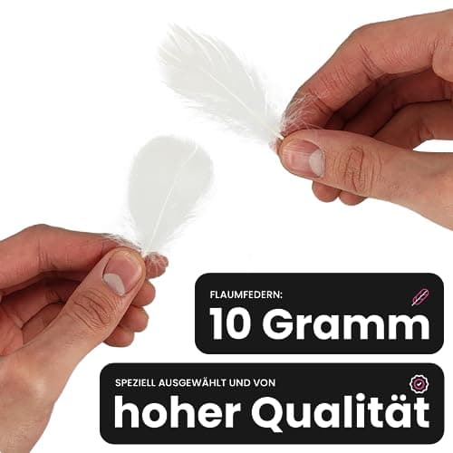 Netuno 150 plumes décoratives blanches 10g plumes duveteuses décoratives plumes d'oiseaux plumes naturelles pour loisirs créatifs bricolage décorations de fêtes attrape-rêves fabrication de masques